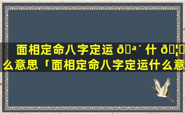 面相定命八字定运 🪴 什 🦆 么意思「面相定命八字定运什么意思呀」